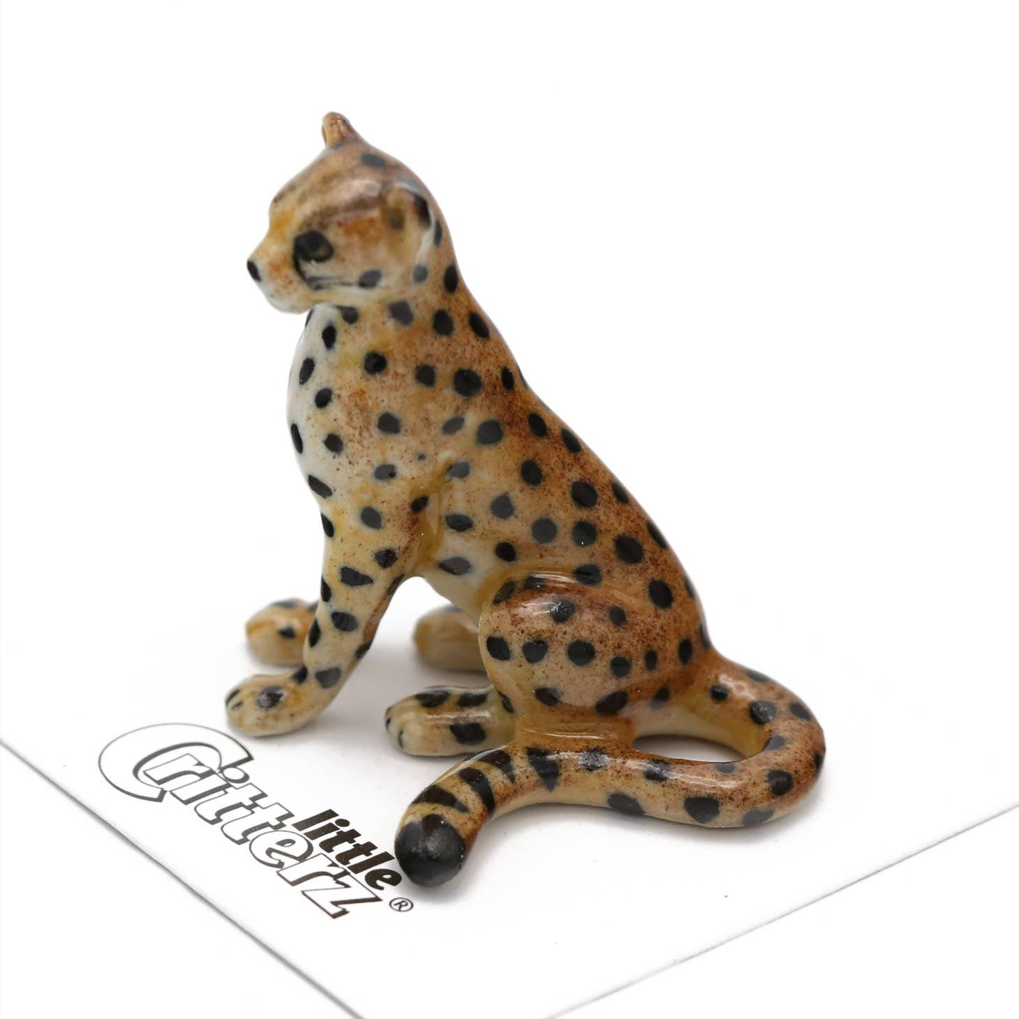 Jelanii Cheetah Porcelain Miniature - Spiral Circle