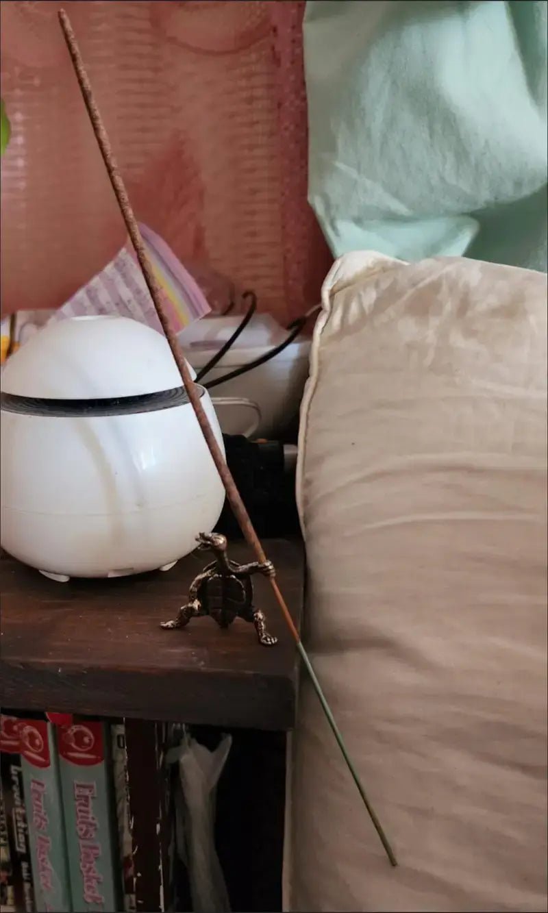 Kung Fu Turtle Incense Holder Bronze - Spiral Circle