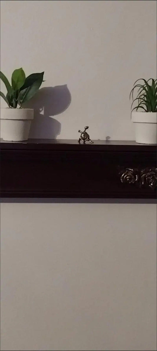 Kung Fu Turtle Incense Holder Bronze - Spiral Circle