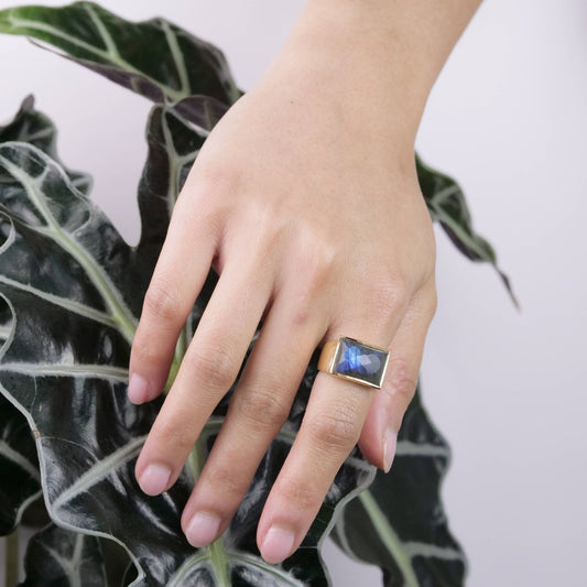 Labradorite Brass Cocktail Ring - Spiral Circle