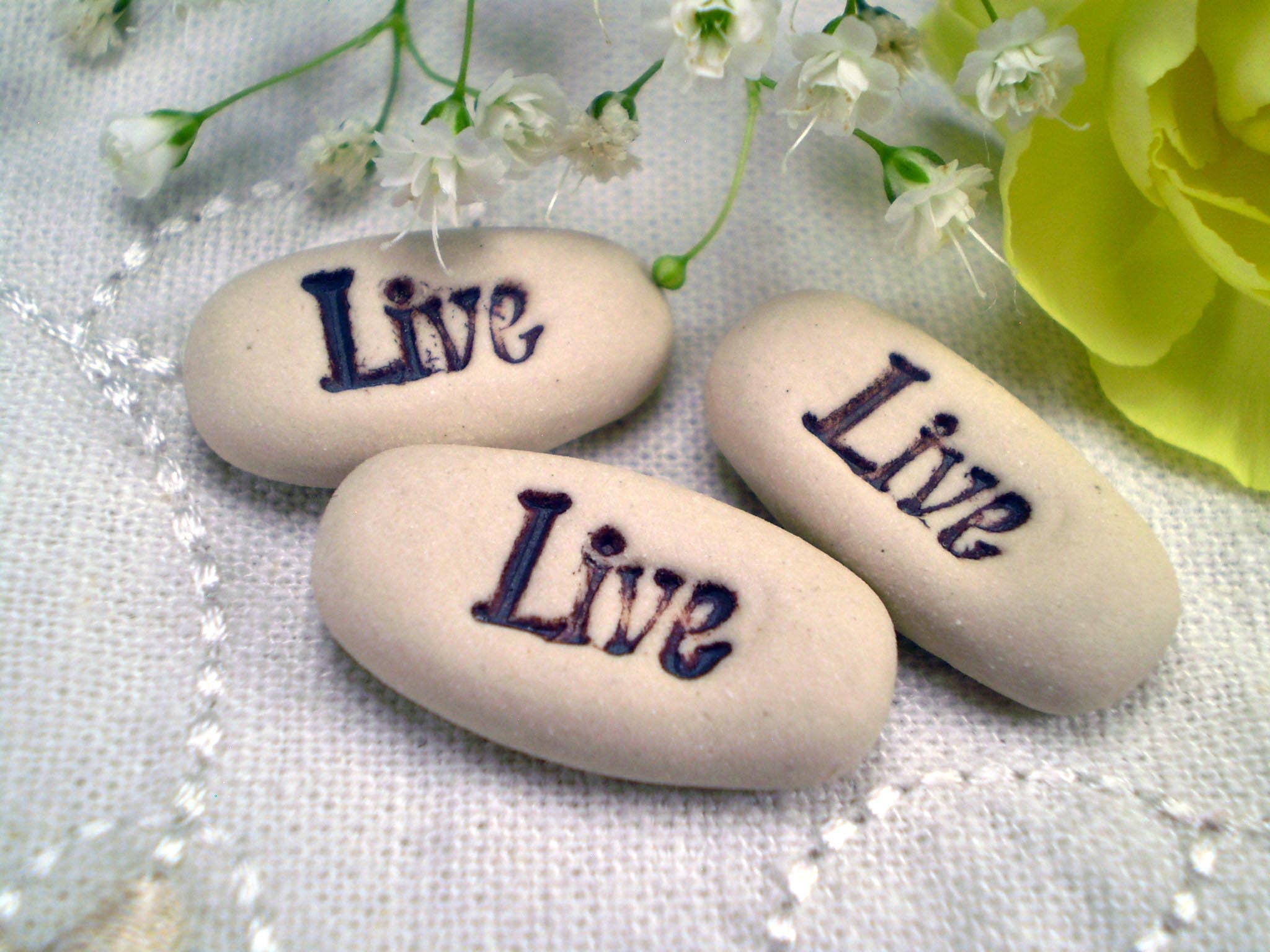 Live, Pocket Meditations - Spiral Circle