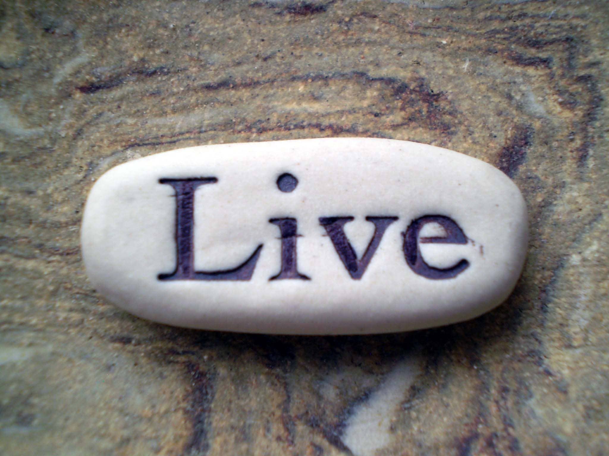 Live, Pocket Meditations - Spiral Circle