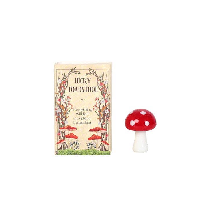 Lucky Glass Frog and Toadstools in Display - Spiral Circle