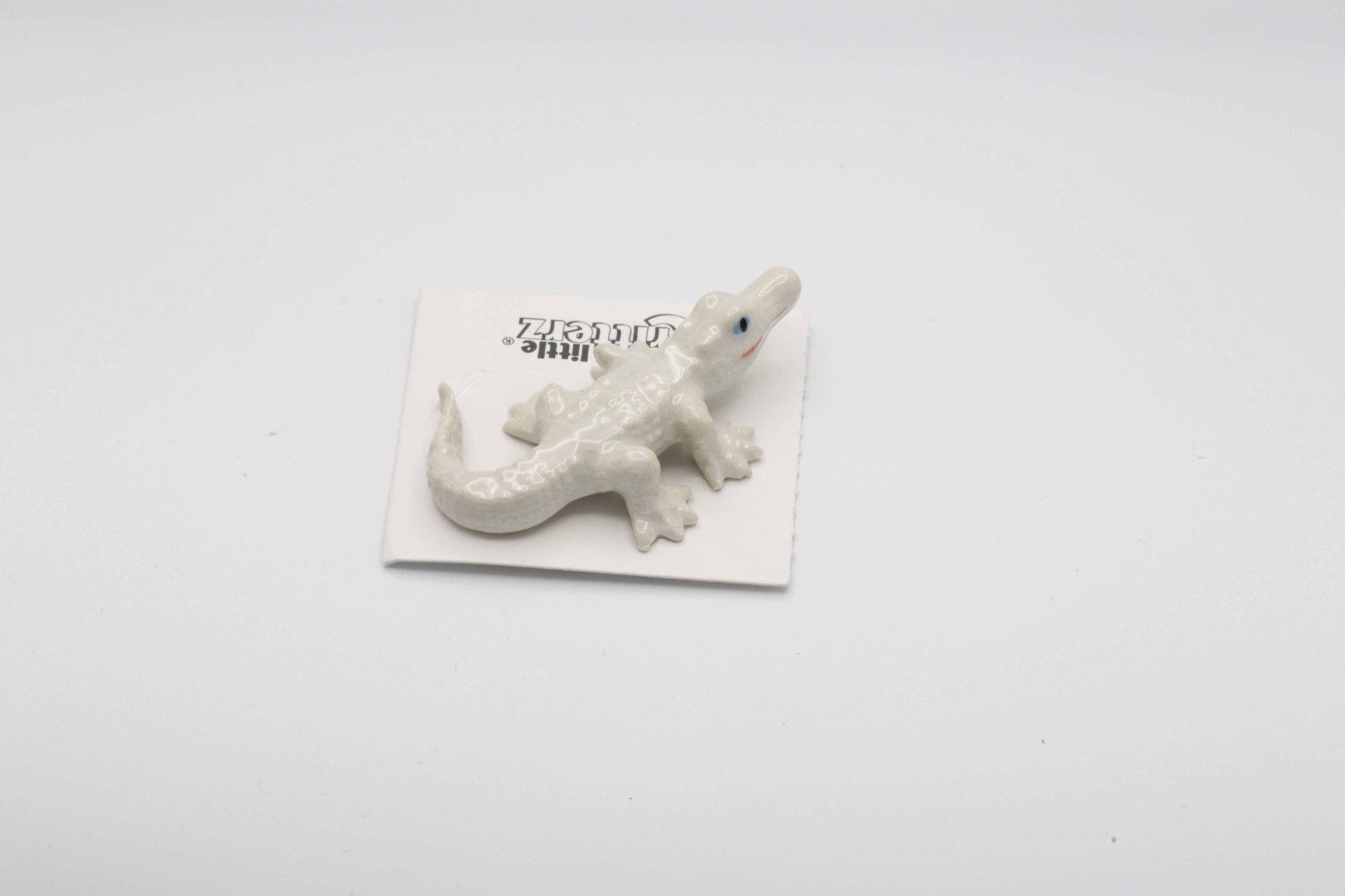 Luke White Alligator Porcelain Miniature - Spiral Circle