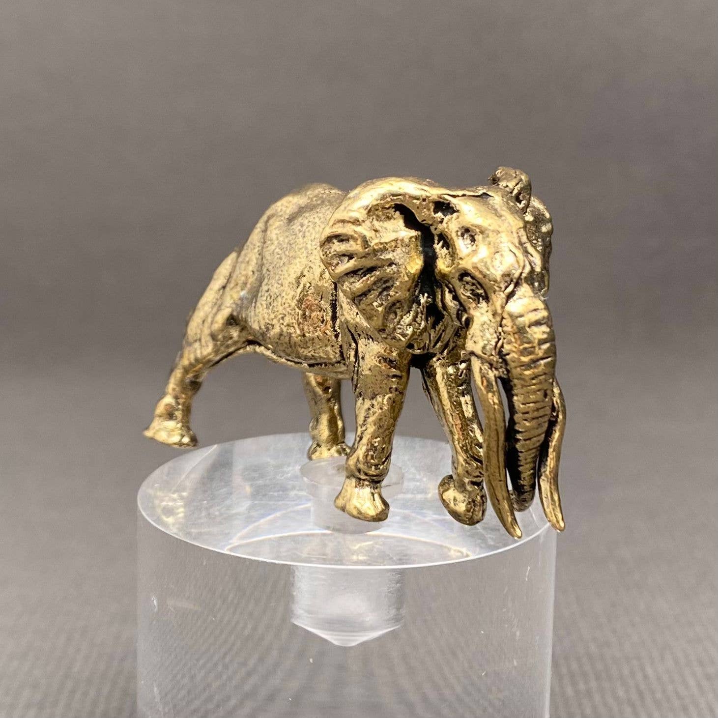 Mammoth Elephant | Brass Figurine - Spiral Circle