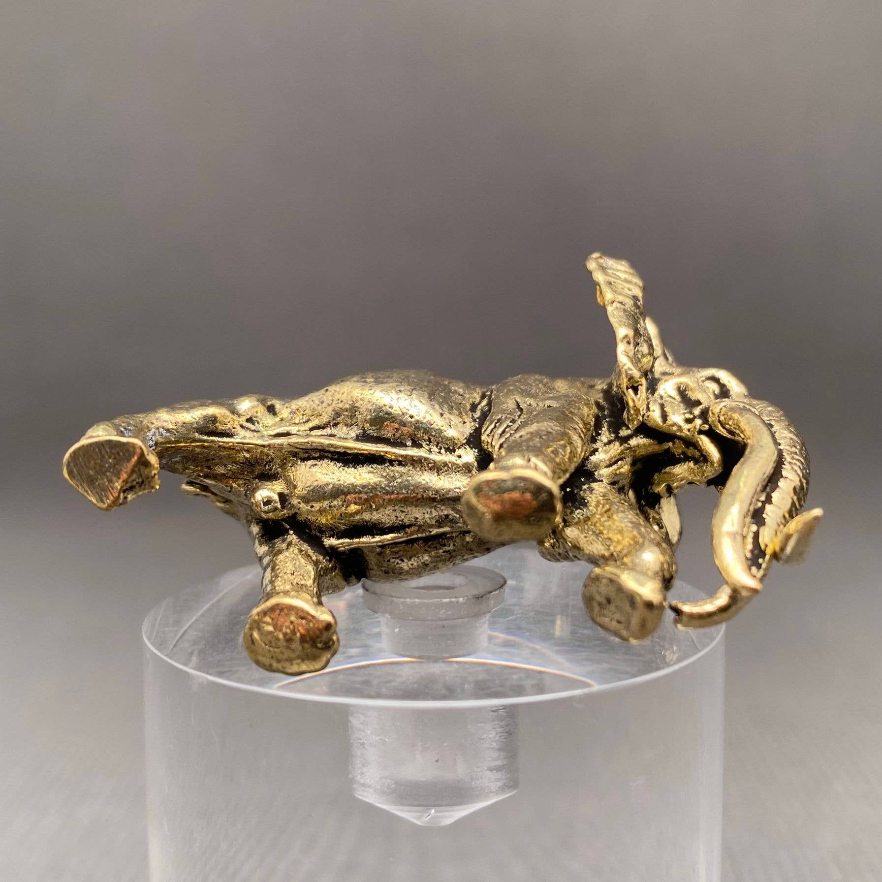 Mammoth Elephant | Brass Figurine - Spiral Circle