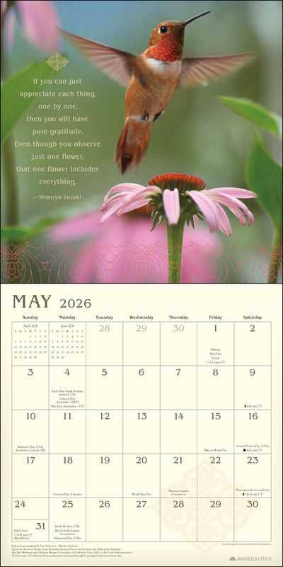 Meditation 2026 Wall Calendar by Amber Lotus Publishing - Spiral Circle