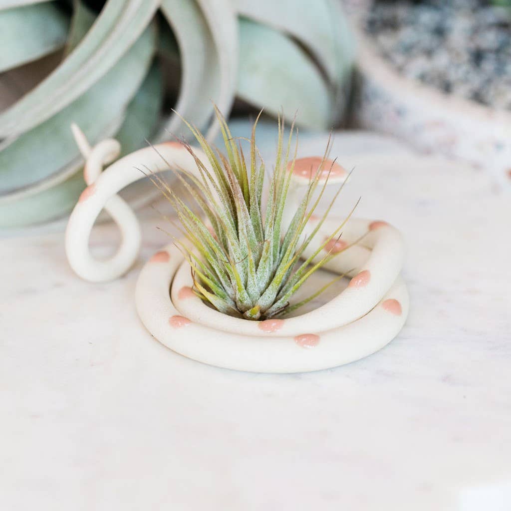 Medium Ceramic Snake - Spiral Circle