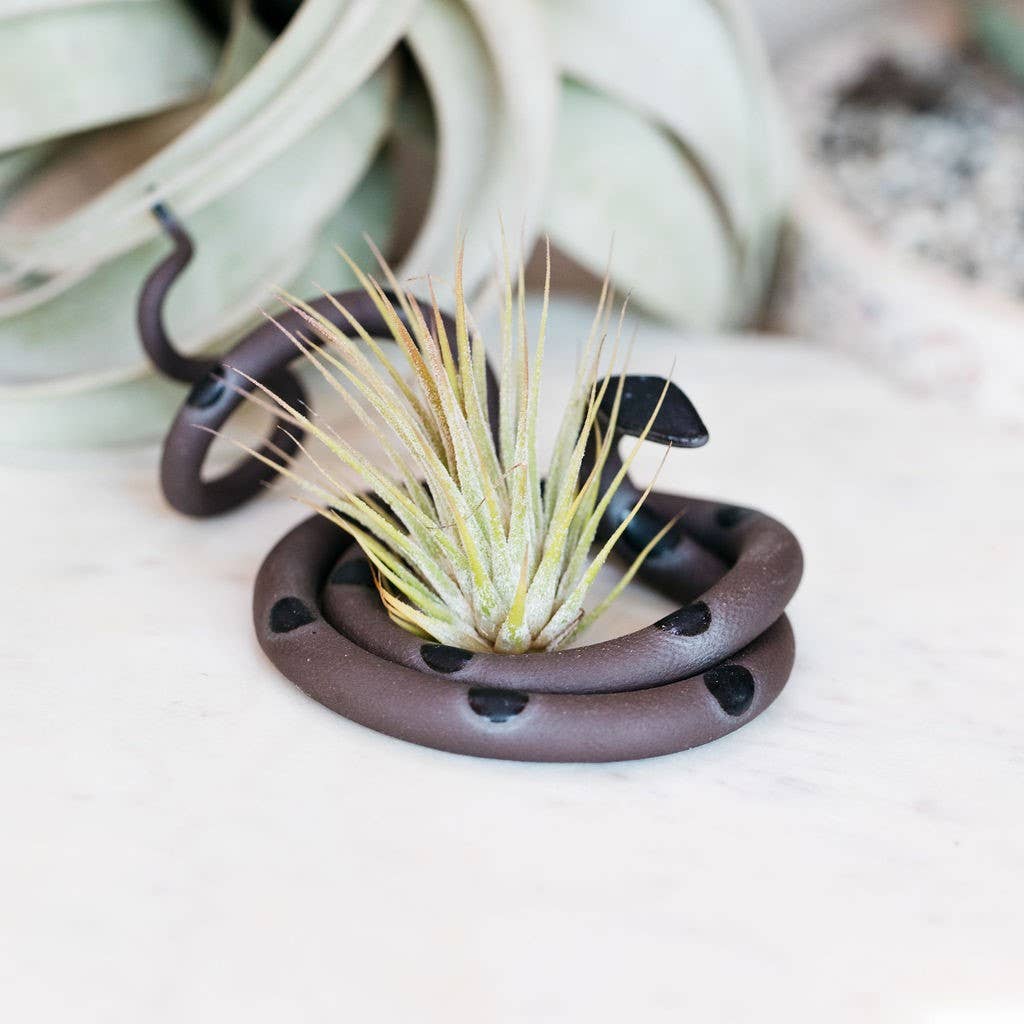Medium Ceramic Snake - Spiral Circle