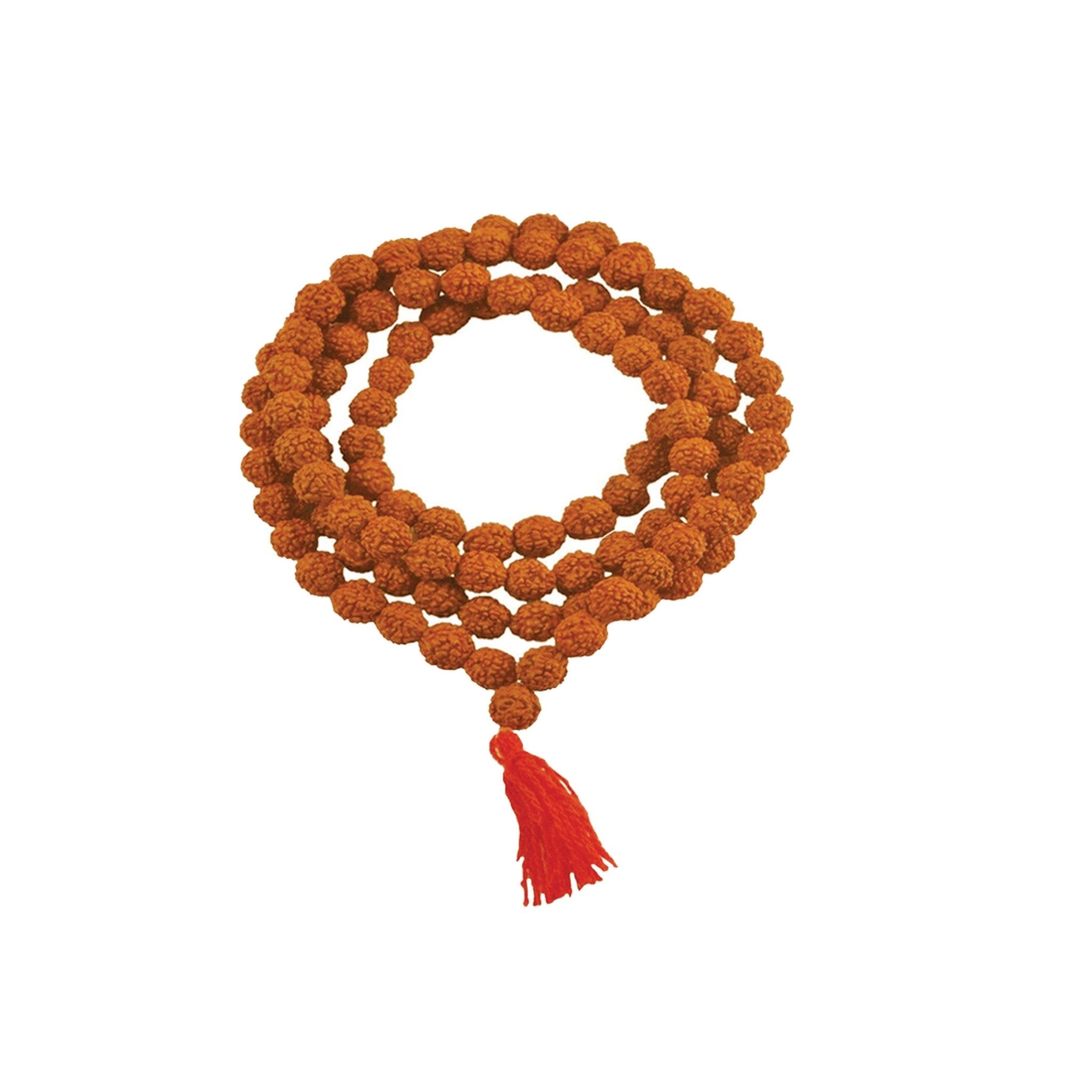 Medium Rudraksh Mala Stonefruit Beads - Spiral Circle