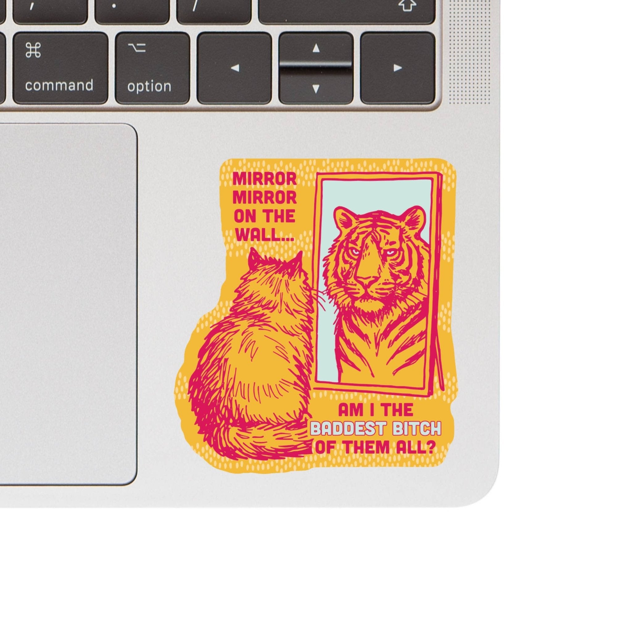 Mirror Mirror Funny Cat Sticker - Spiral Circle