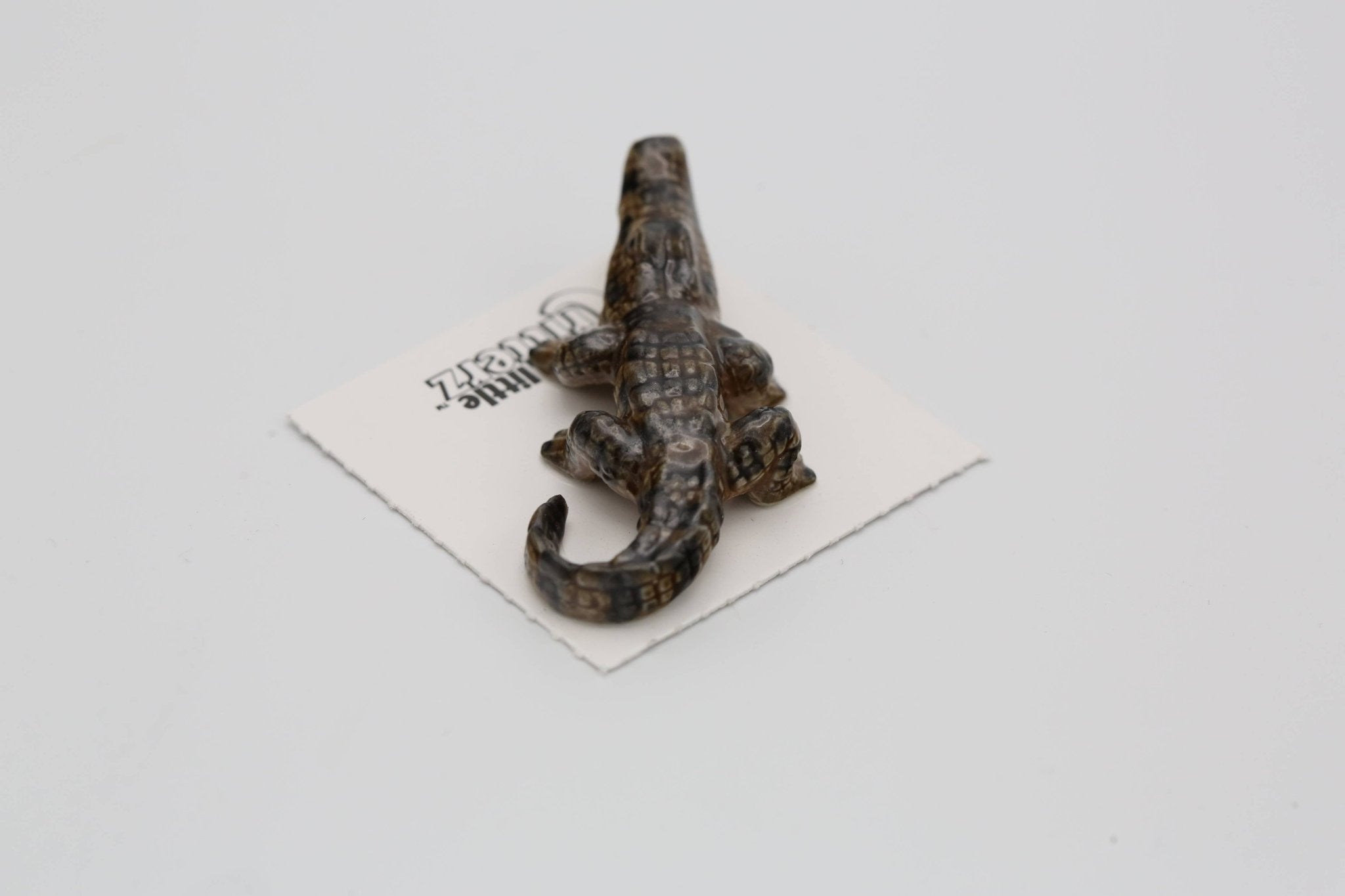 Mississippi American Alligator Porcelain Miniature - Spiral Circle
