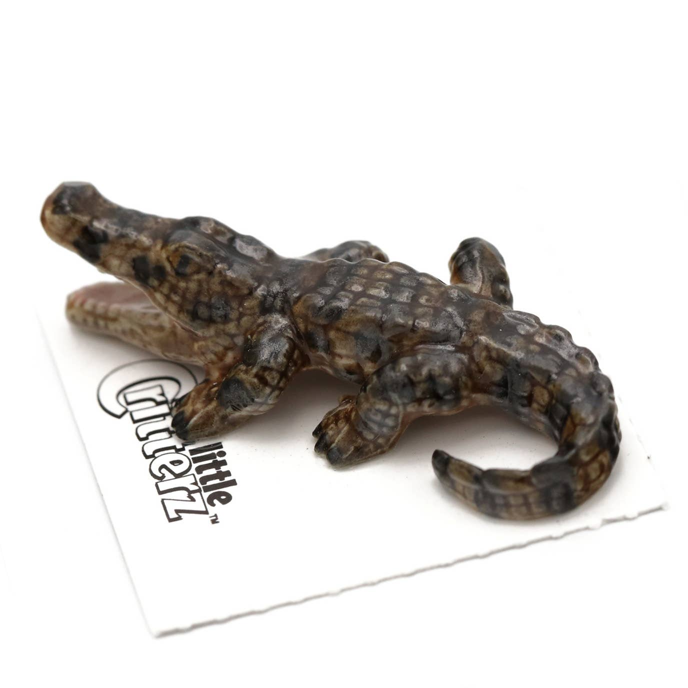 Mississippi American Alligator Porcelain Miniature - Spiral Circle