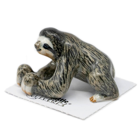 Monk Three - Toed Sloth Porcelain Miniature - Spiral Circle