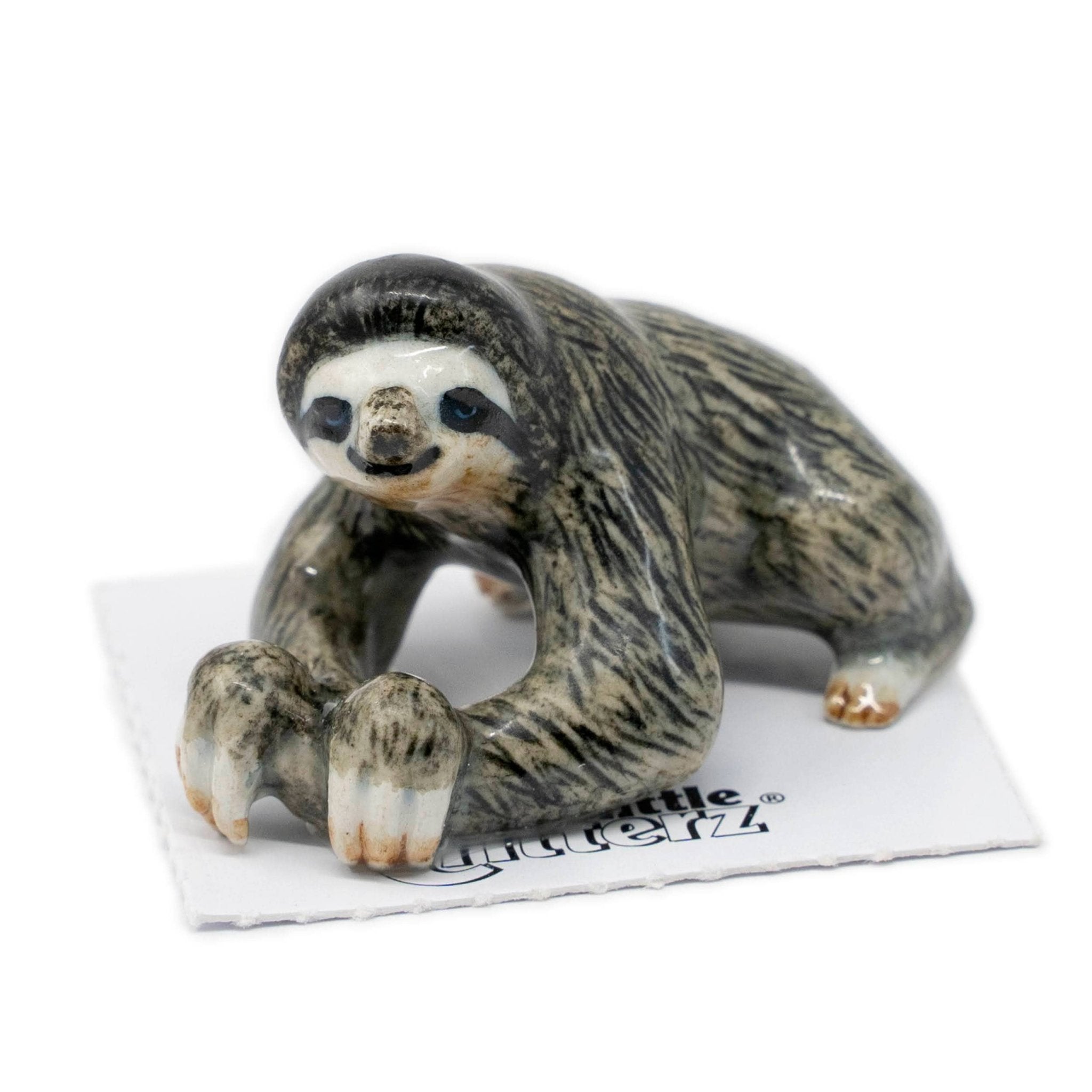 Monk Three - Toed Sloth Porcelain Miniature - Spiral Circle