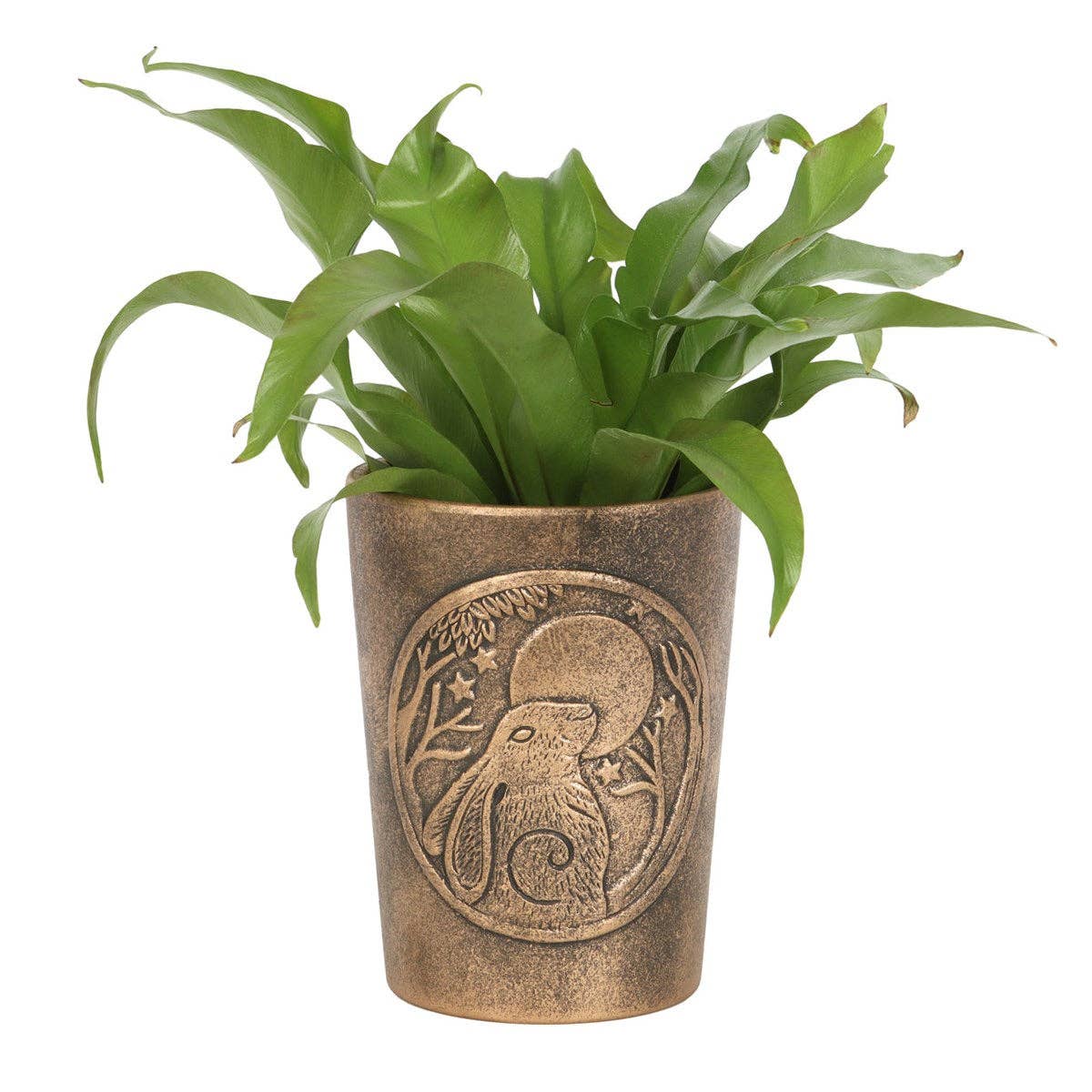 Moon Gazing Hare Bronze Terracotta Plant Pot by Lisa Parker - Spiral Circle