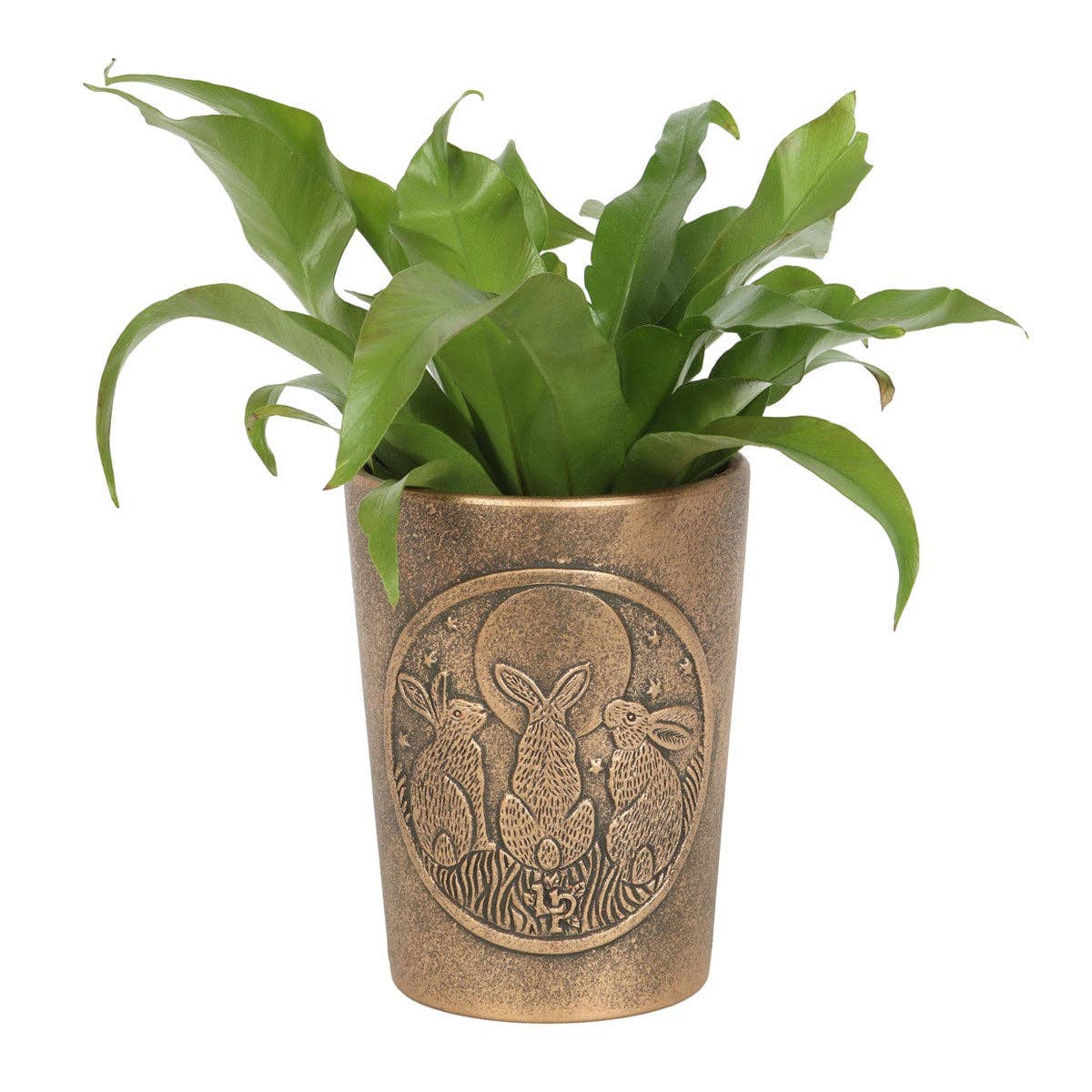 Moon Shadows Bronze Terracotta Plant Pot by Lisa Parker - Spiral Circle