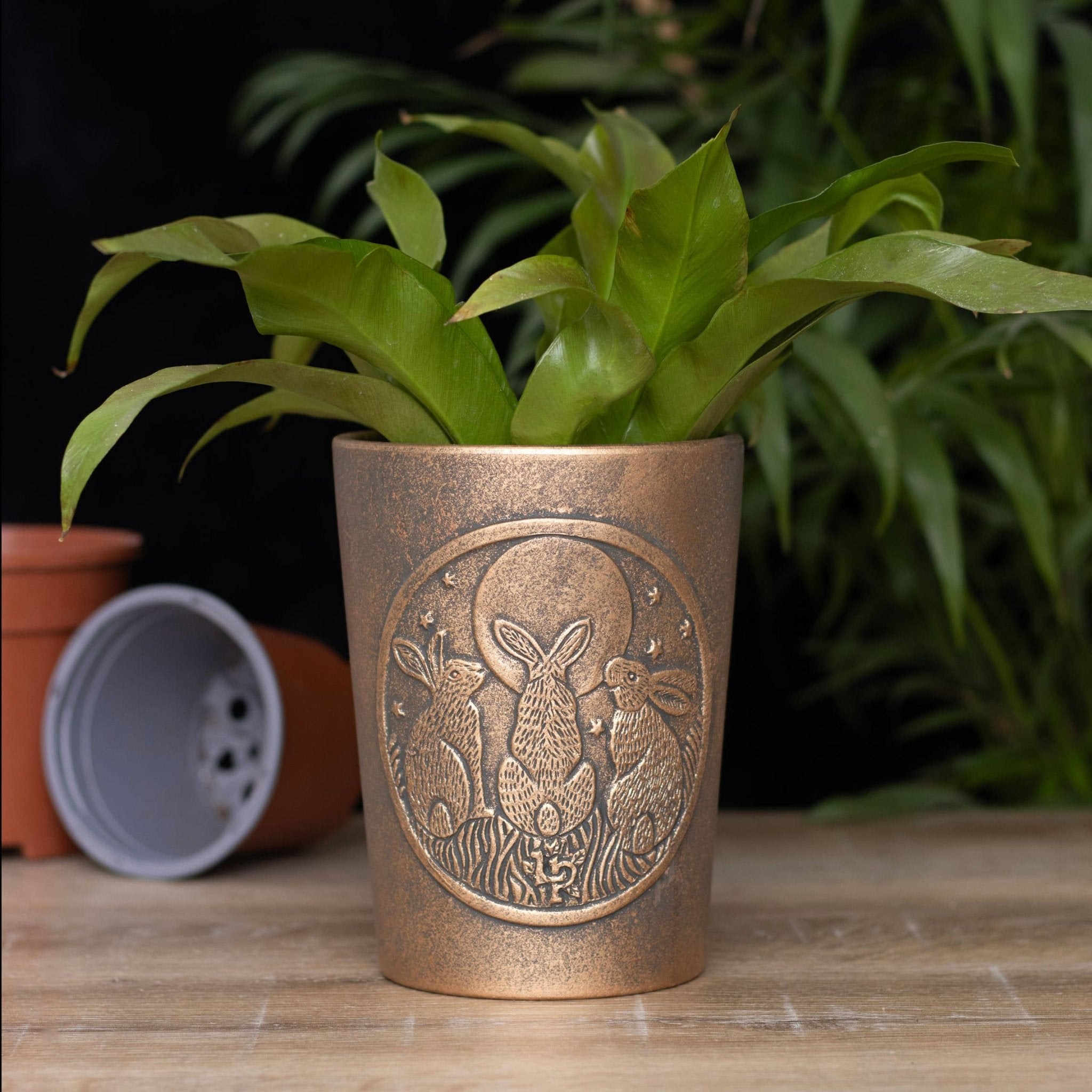 Moon Shadows Bronze Terracotta Plant Pot by Lisa Parker - Spiral Circle