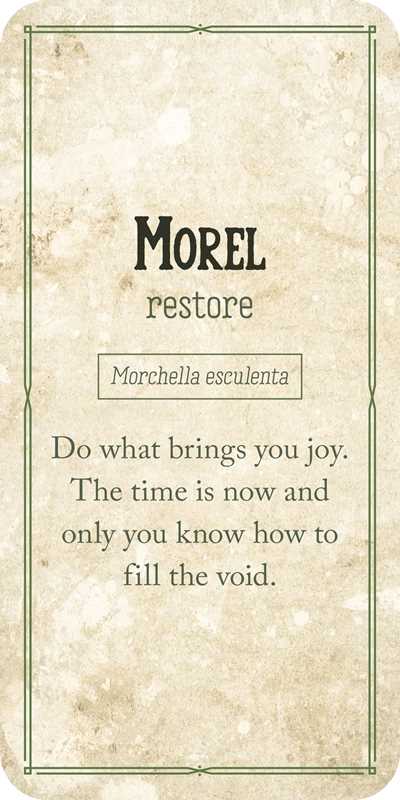 Mushroom Affirmations - Spiral Circle