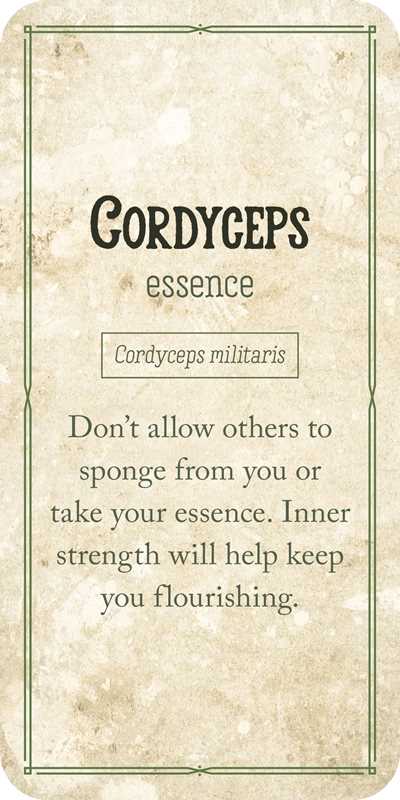 Mushroom Affirmations - Spiral Circle