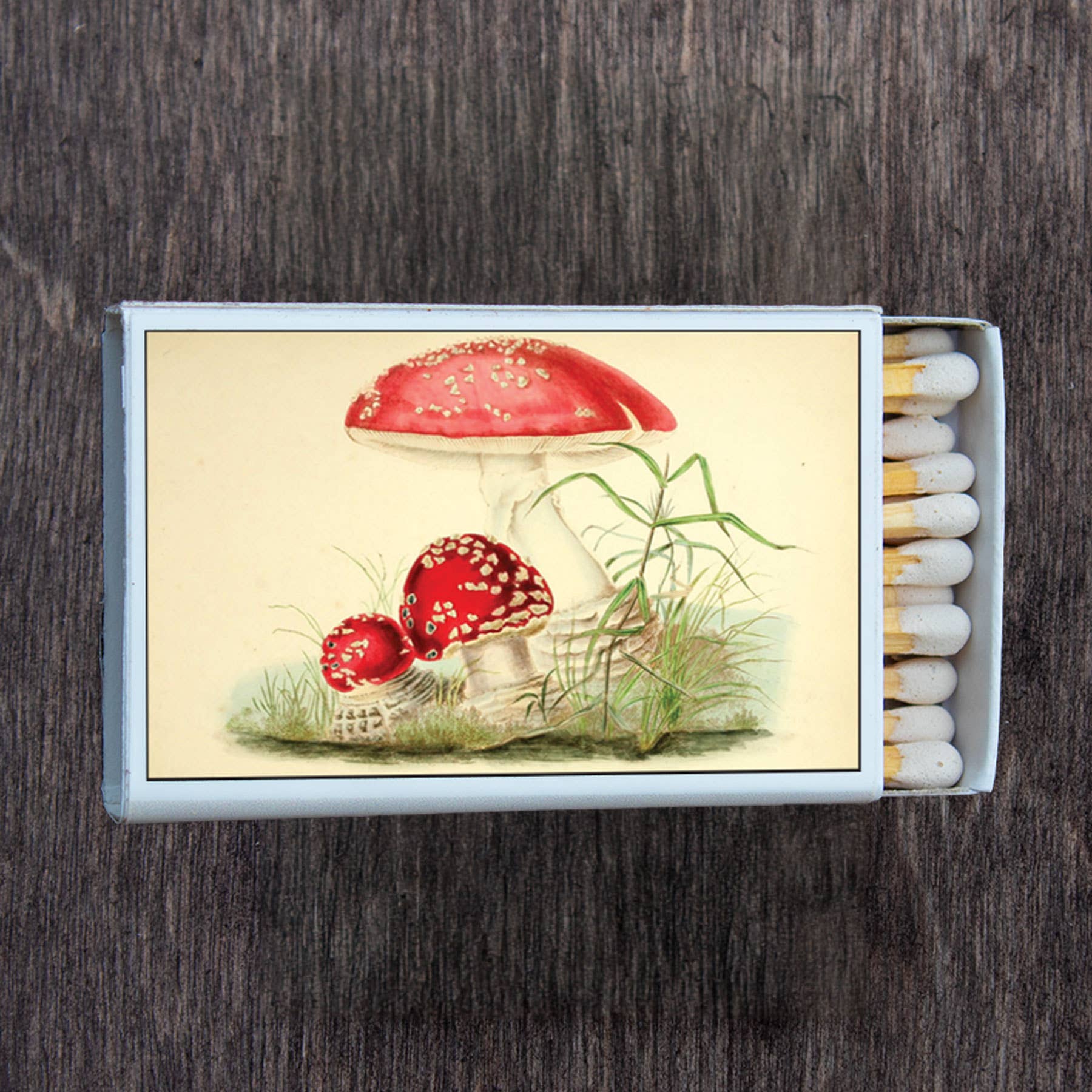 Mushroom Toadstool Matchbox | Matches - Spiral Circle