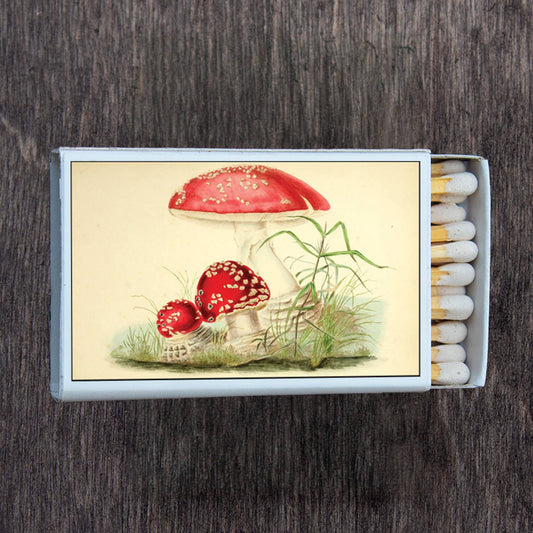 Mushroom Toadstool Matchbox | Matches - Spiral Circle