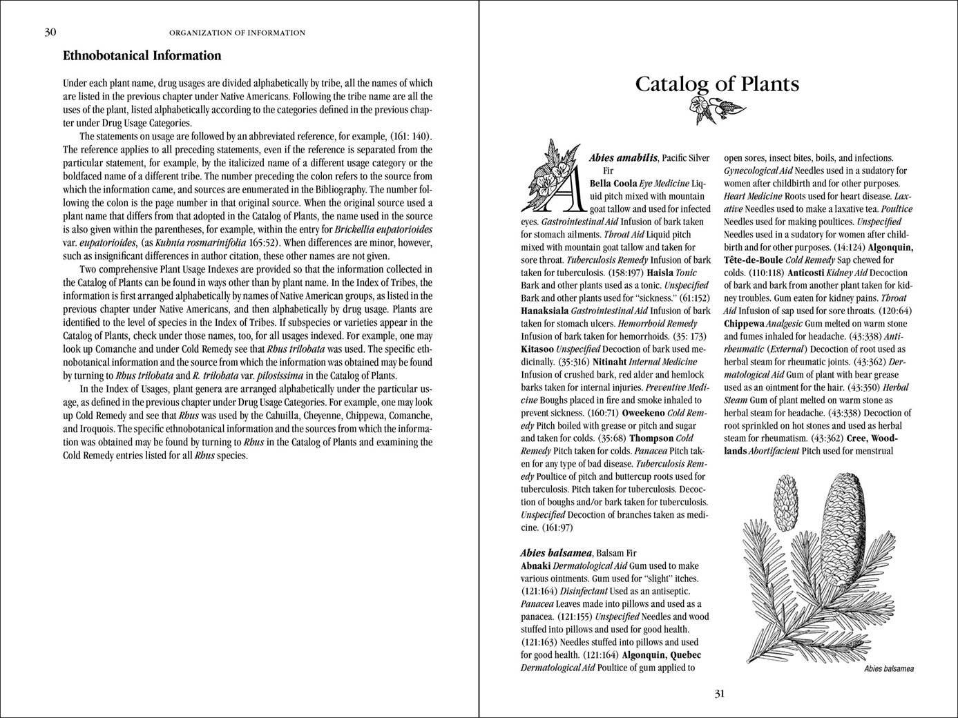 Native American Medicinal Plants - Spiral Circle