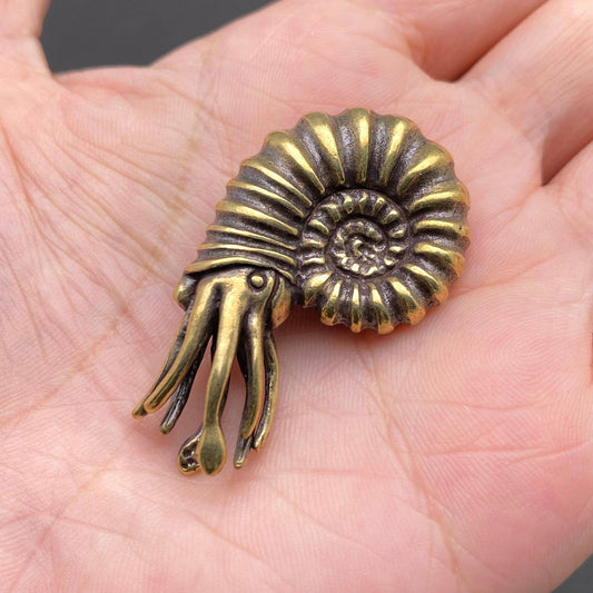 Nautilus | Brass Figurine - Spiral Circle