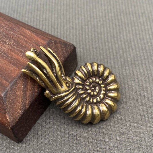 Nautilus | Brass Figurine - Spiral Circle
