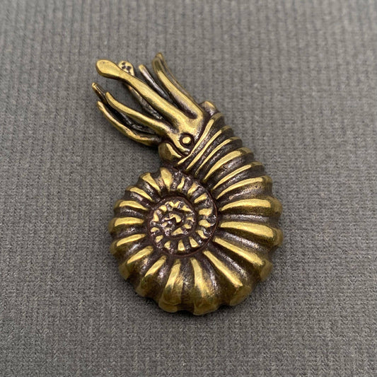 Nautilus | Brass Figurine - Spiral Circle