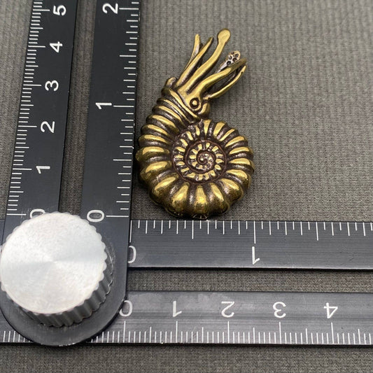 Nautilus | Brass Figurine - Spiral Circle