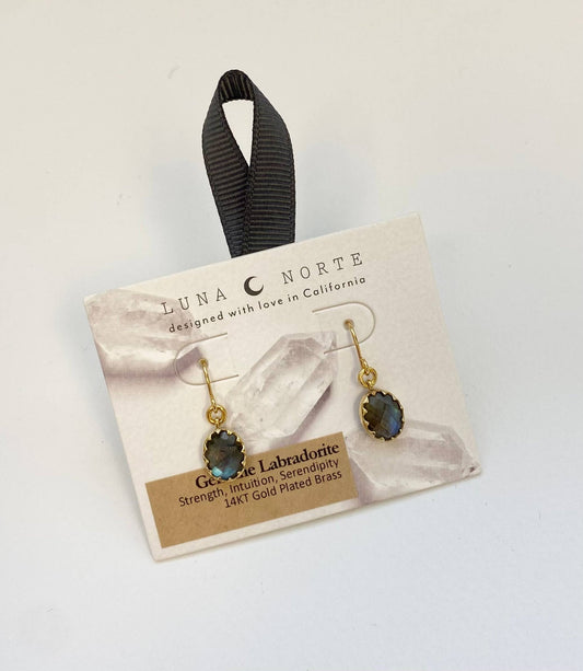 Neptune's Orbit Earrings | Labradorite - Spiral Circle