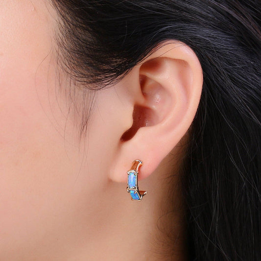 Opal Hoop Earrings - Spiral Circle