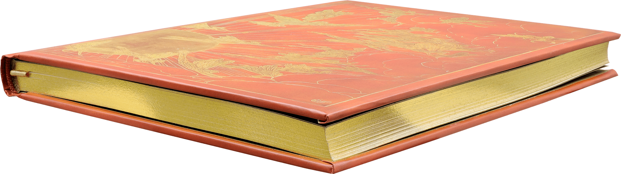 Orange Fairy Journal - Spiral Circle