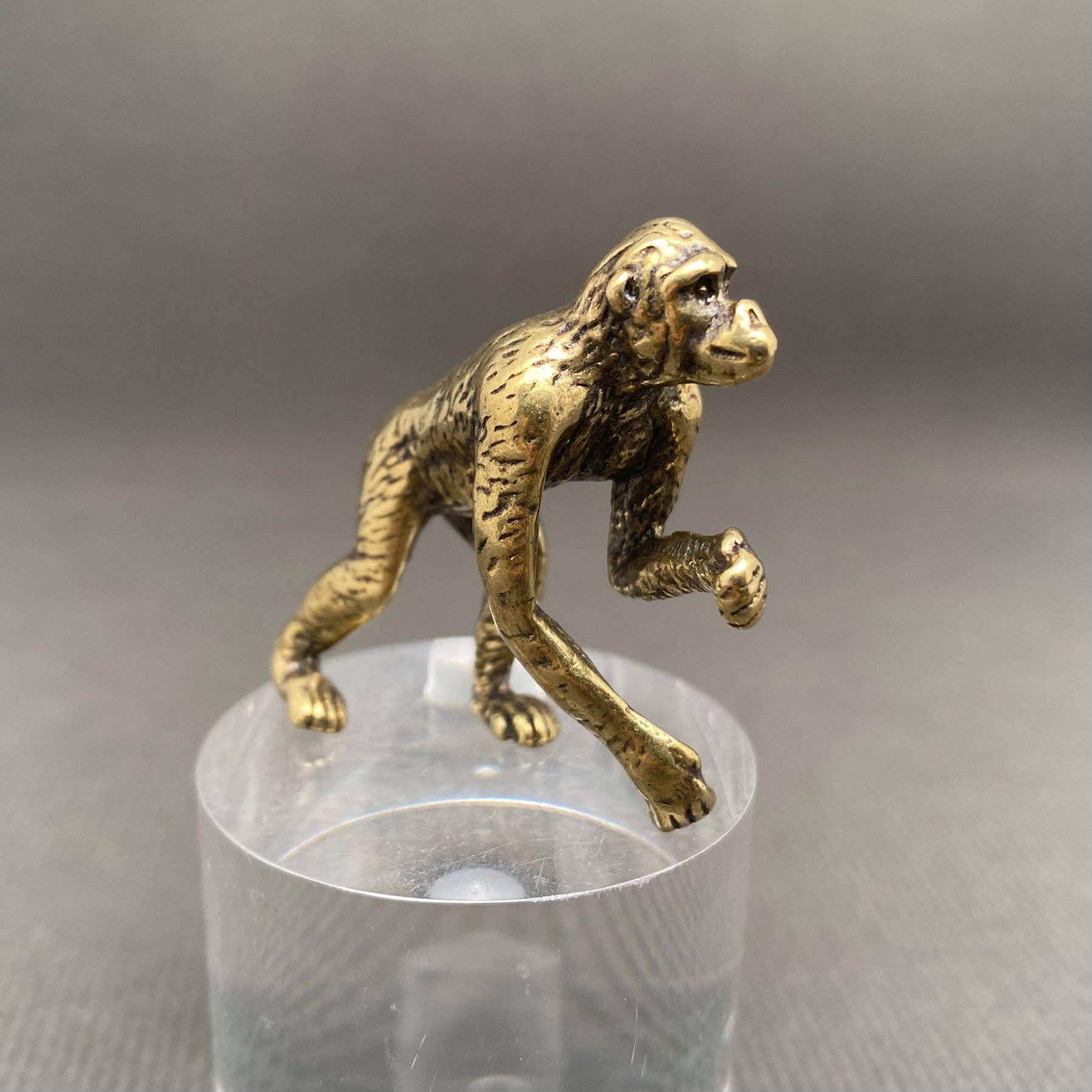 Orangutan| Brass Figurine - Spiral Circle