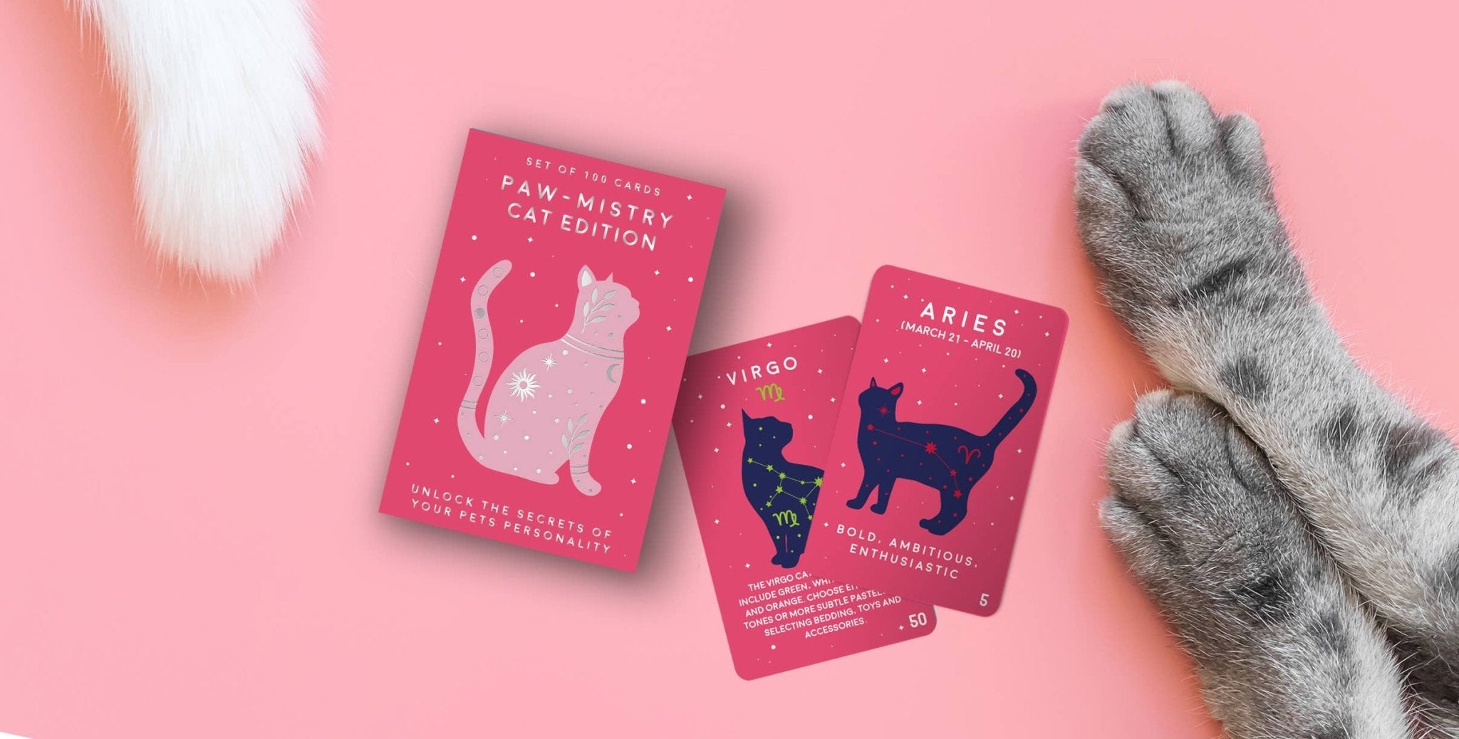 Paw - Mistry Cards: Cat Edition - Spiral Circle