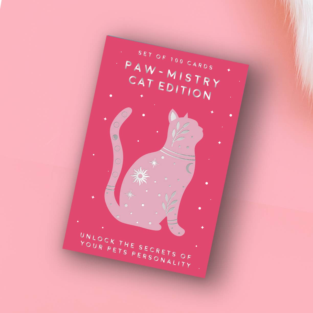 Paw - Mistry Cards: Cat Edition - Spiral Circle