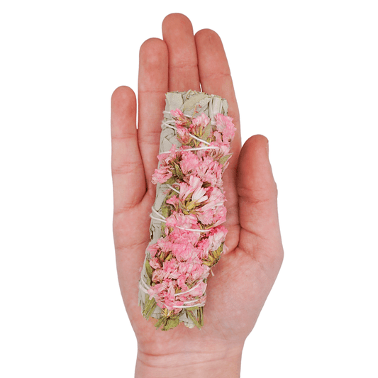 Pink Sinuata Flower | White Sage Bundles | 4 inch - Spiral Circle
