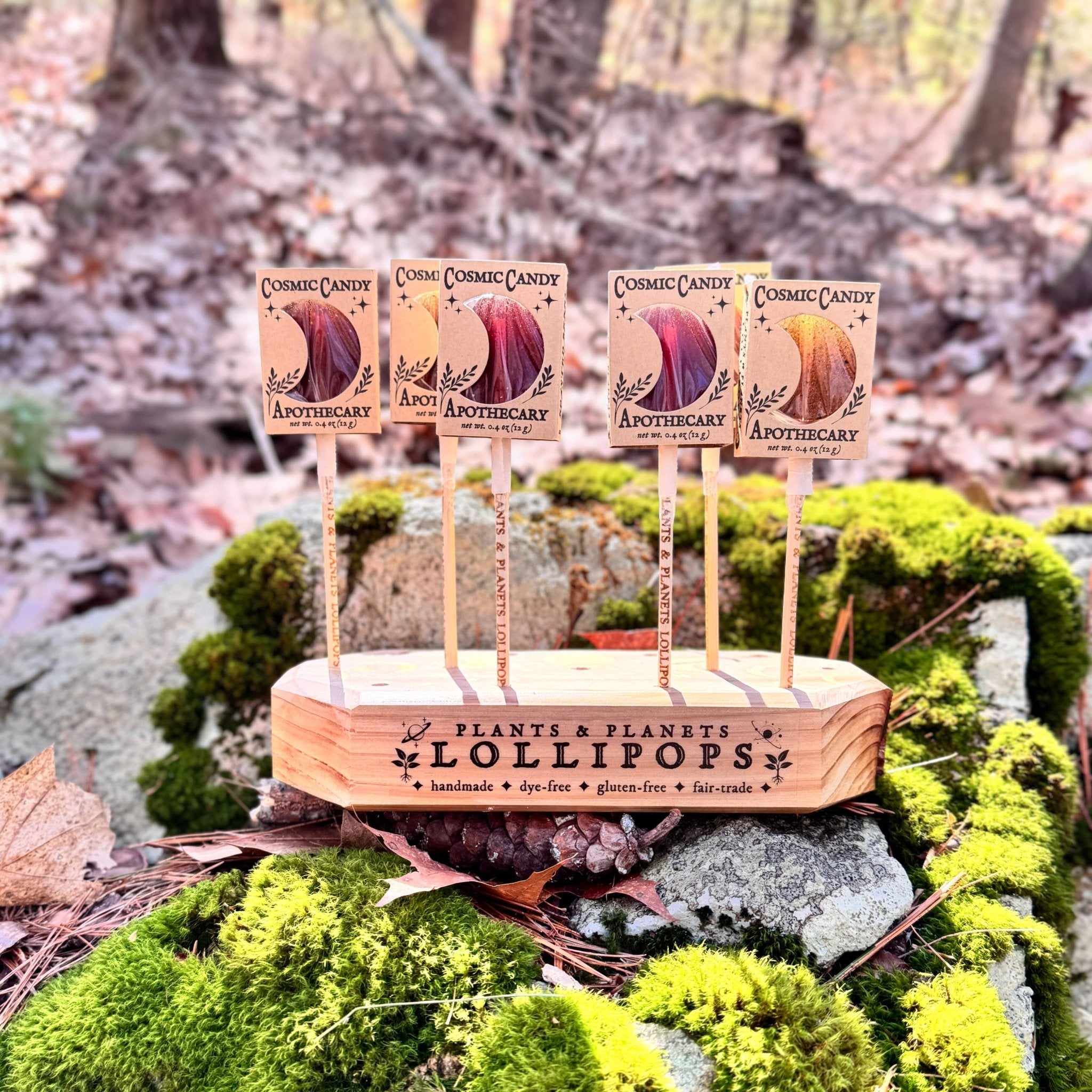 Plants & Planets Lollipops - Spiral Circle