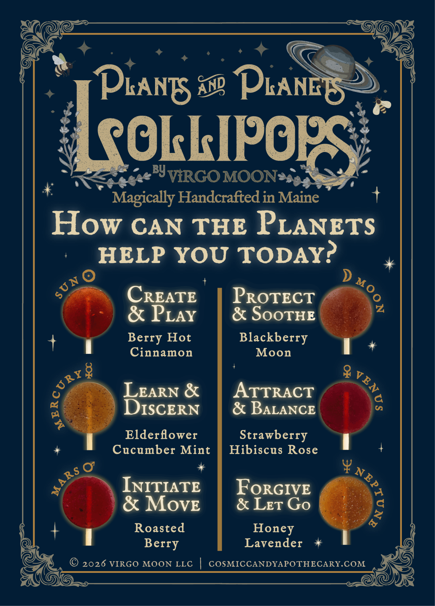 Plants & Planets Lollipops - Spiral Circle