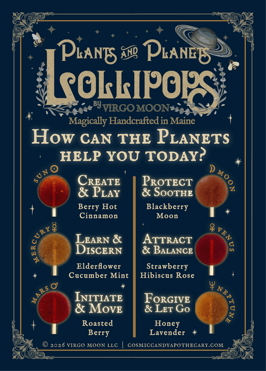 Plants & Planets Lollipops - Spiral Circle