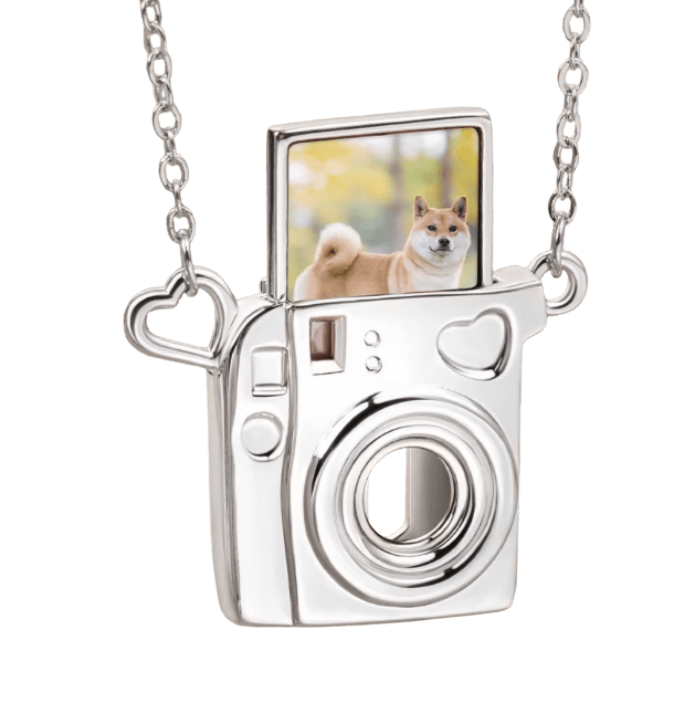 Polaroid Camera 14K Gold Steel Necklace - Spiral Circle