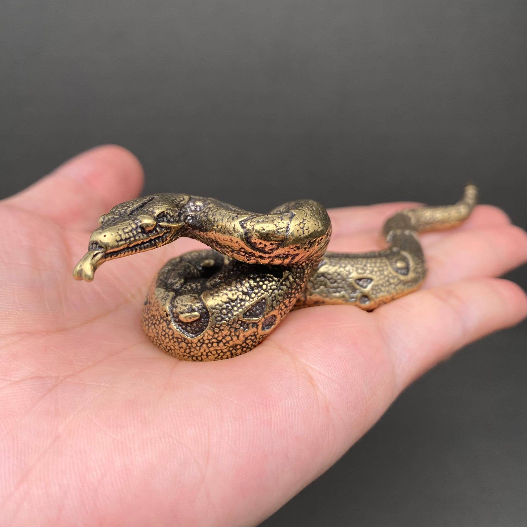 Python | Brass Figurine - Spiral Circle
