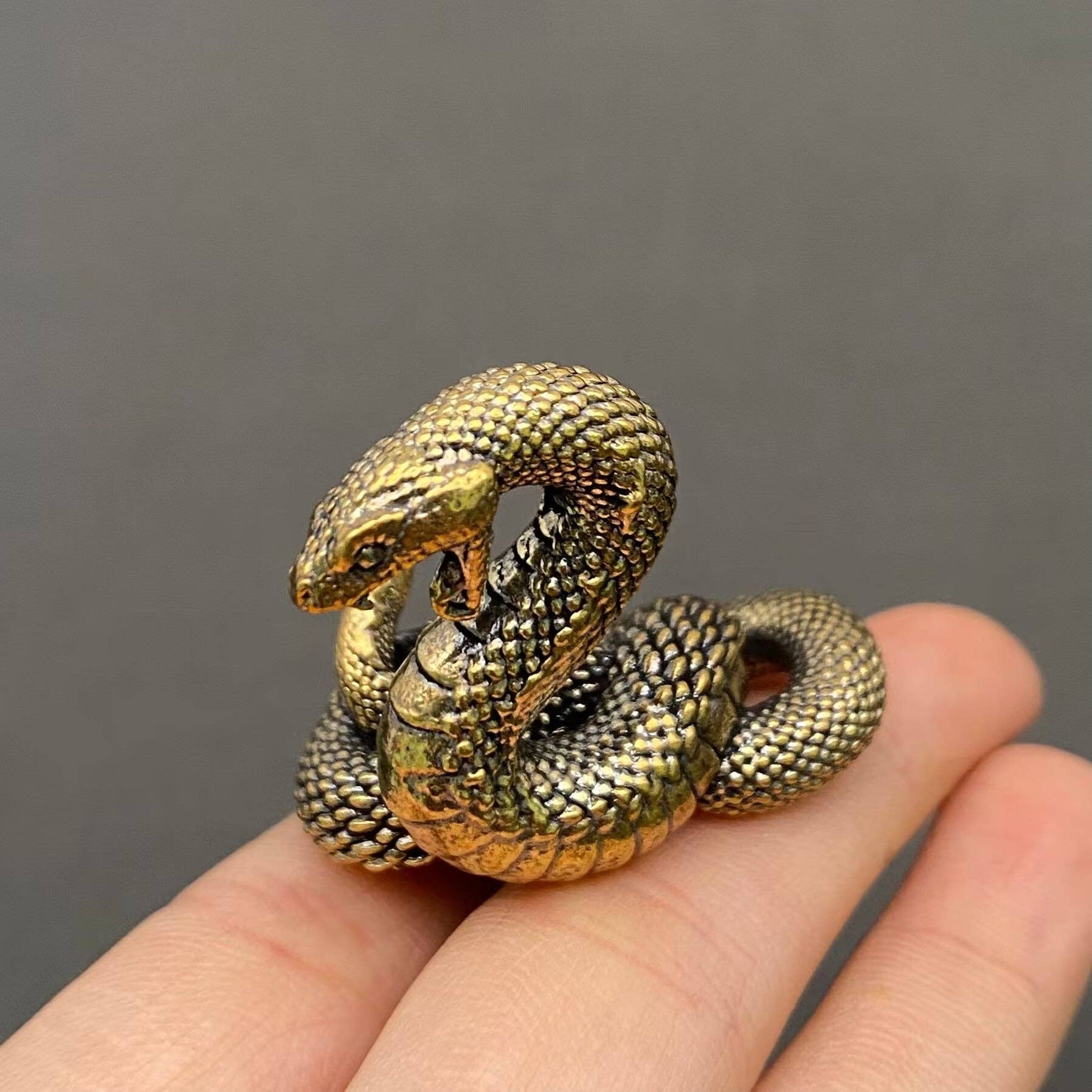 Python Snake | Brass Figurine - Spiral Circle