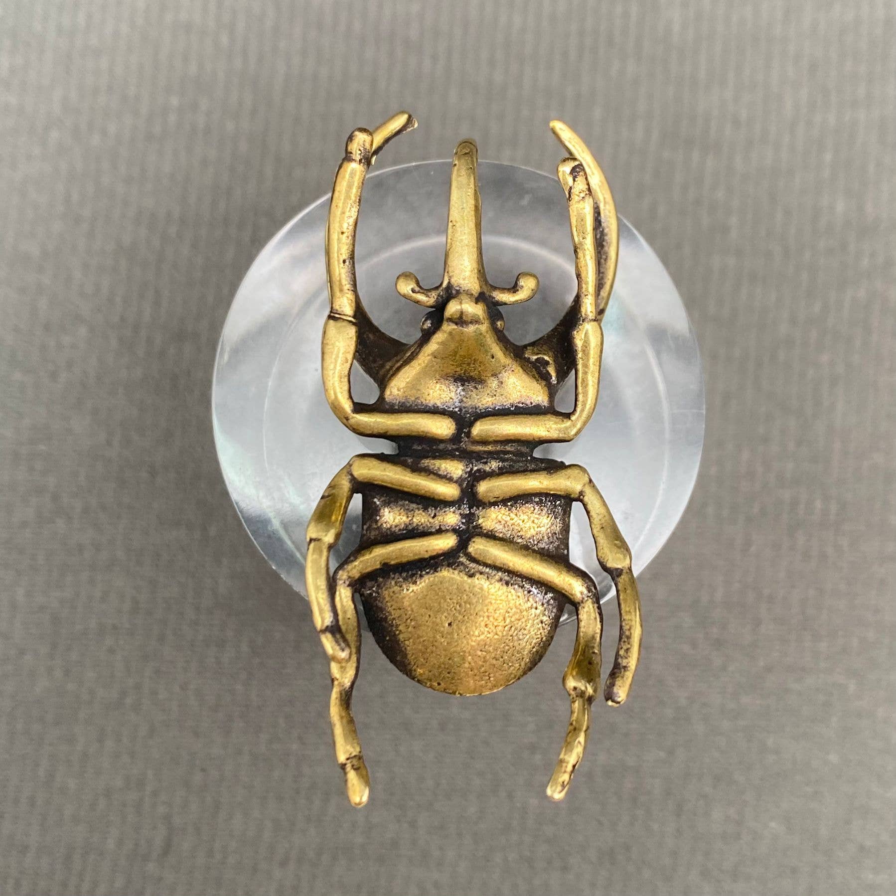 Rhinoceros Beetle | Brass Figurine - Spiral Circle