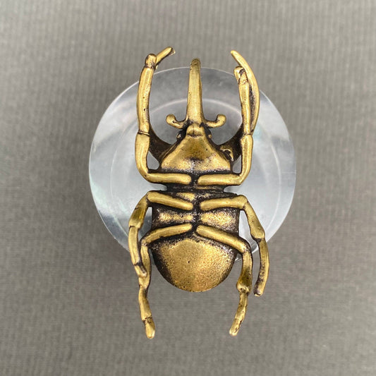 Rhinoceros Beetle | Brass Figurine - Spiral Circle