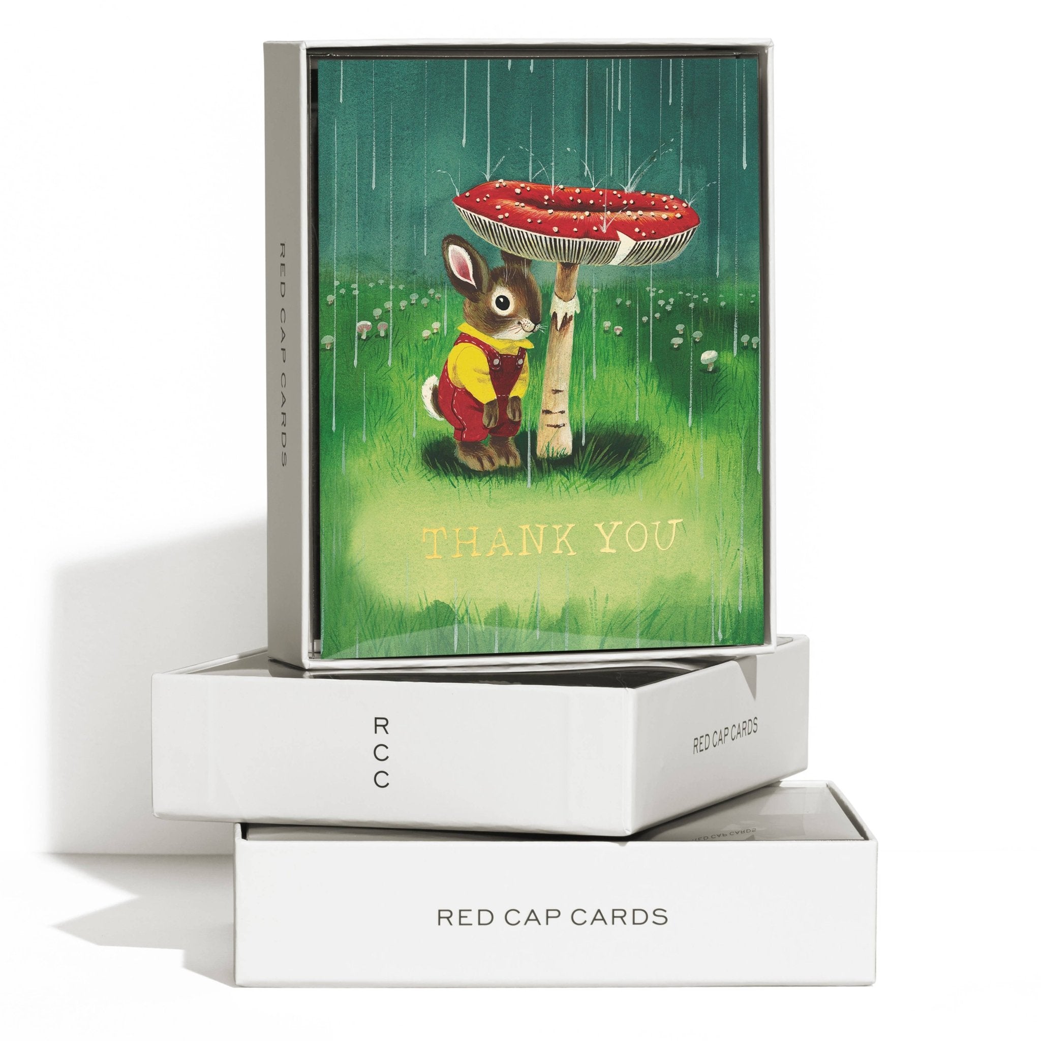 Richard Scarry Bunny and Mushroom greeting card - Spiral Circle