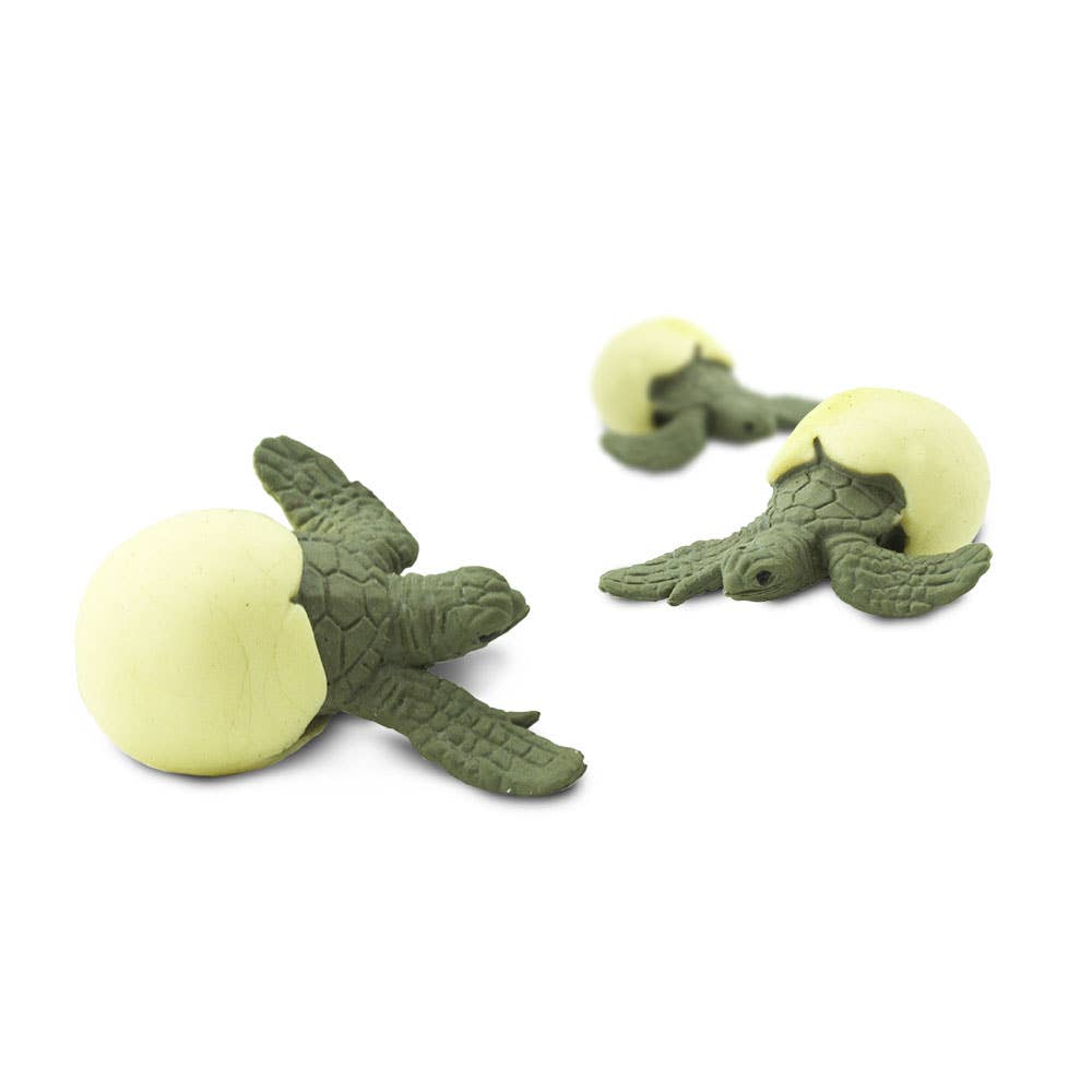 Sea Turtle Hatchlings - Good Luck Minis® - 341522 - Spiral Circle