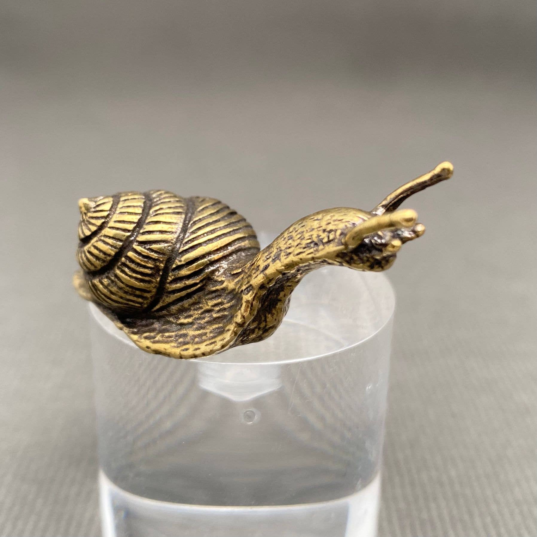 Snail | Brass Figurine - Spiral Circle