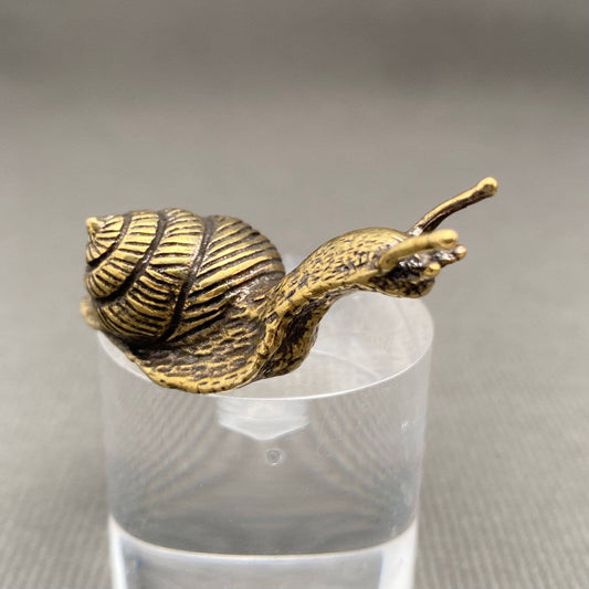 Snail | Brass Figurine - Spiral Circle